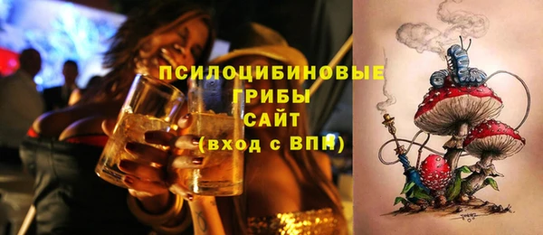 спайс Абаза