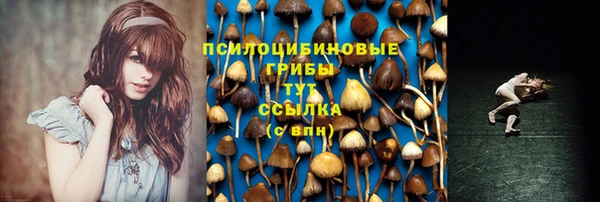 ГАЛЛЮЦИНОГЕННЫЕ ГРИБЫ Алексеевка