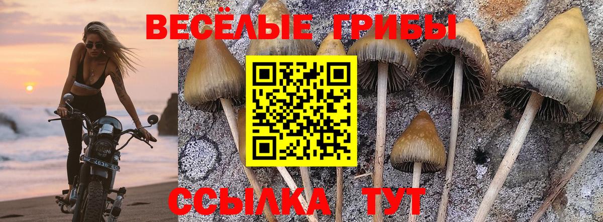 Псилоцибиновые грибы ЛСД  Псилоцибиновые грибы Psilocybine cubensis  Вход с VPN  Ефремов 